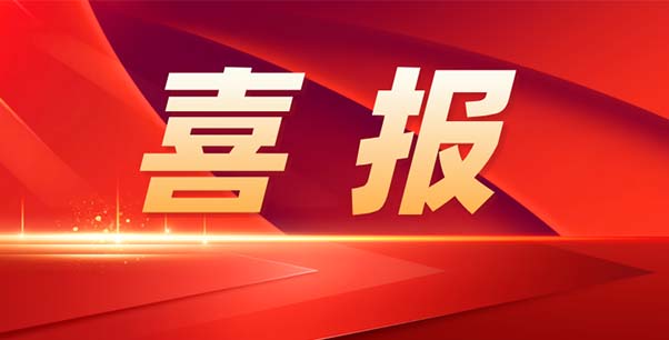 喜報(bào)！熱烈祝賀我司榮獲江蘇省“專精特新”企業(yè)稱號